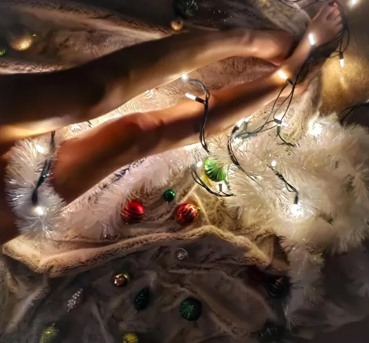 (F)estively entangled 