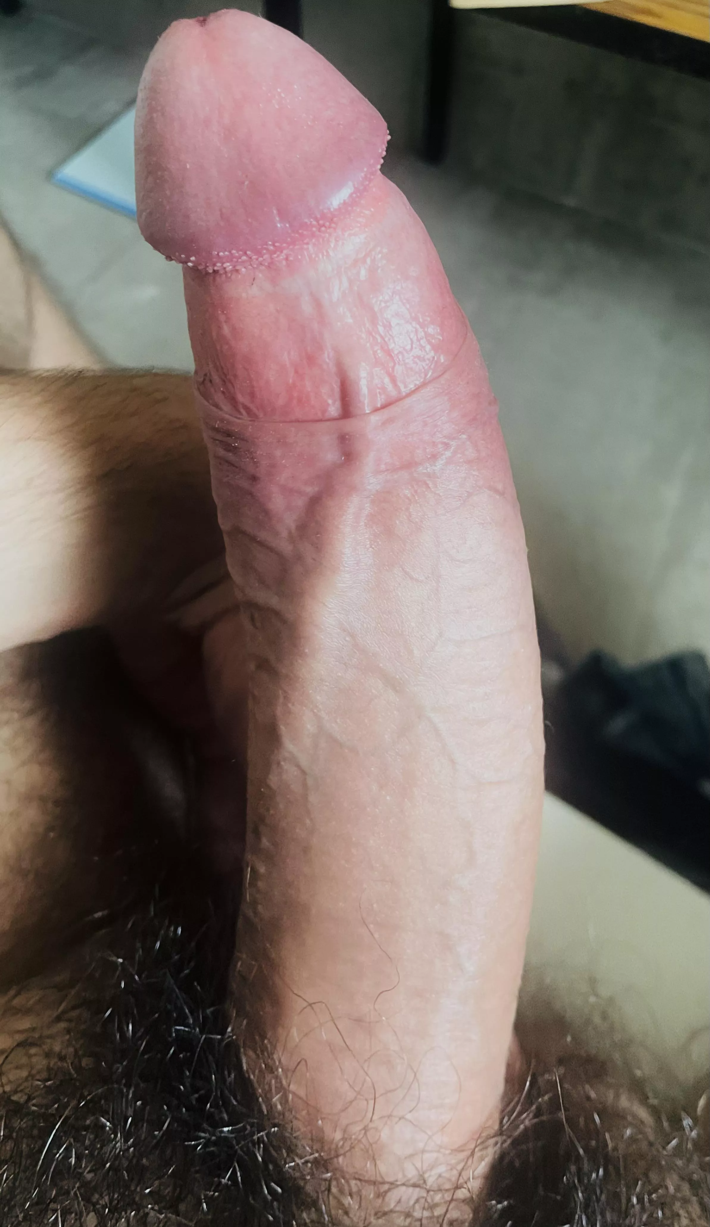 It is the Sex Pistols encarnation..