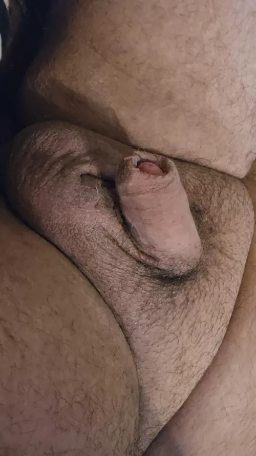 Please humiliate me sir 