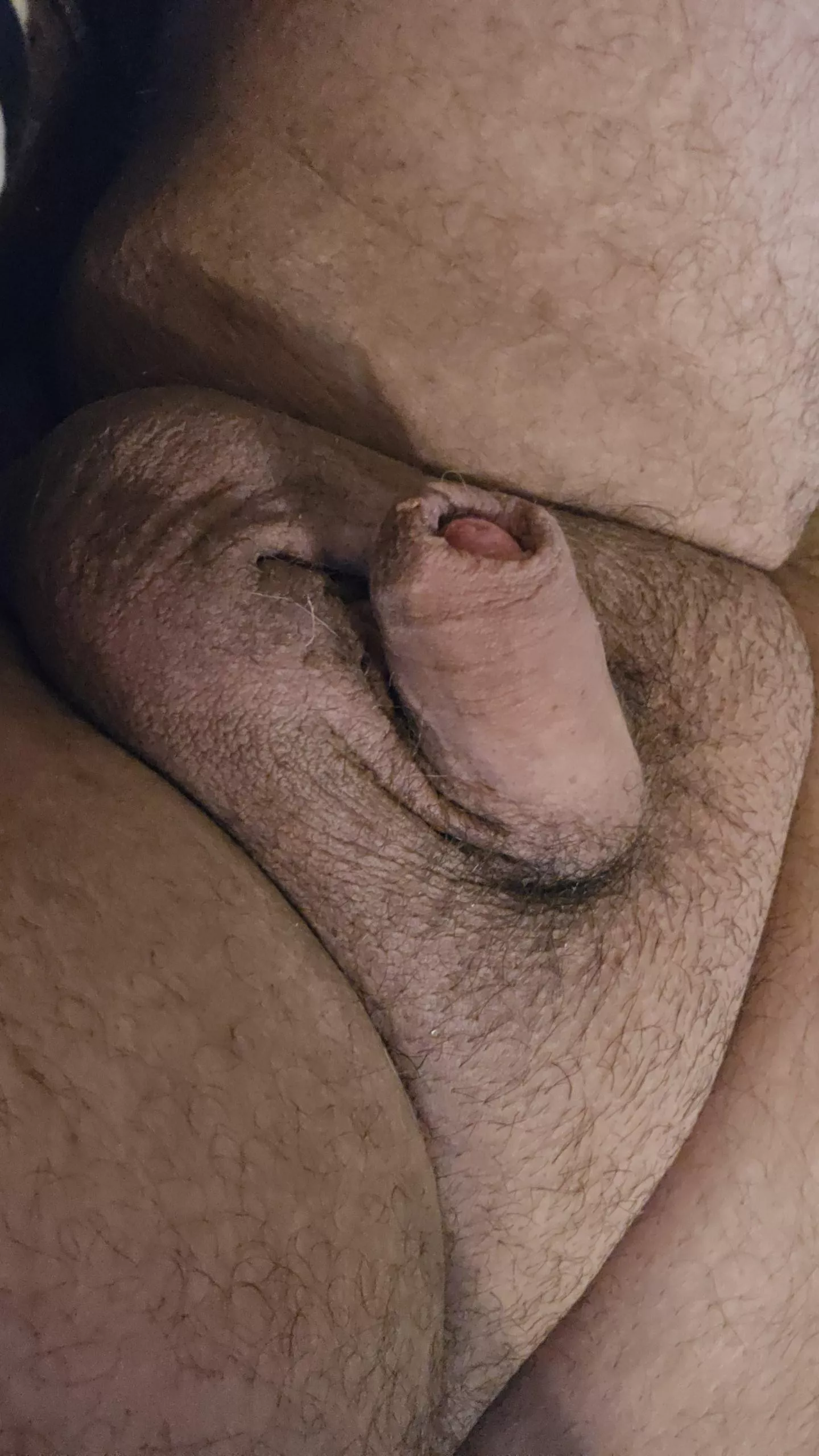 Please humiliate me sir 