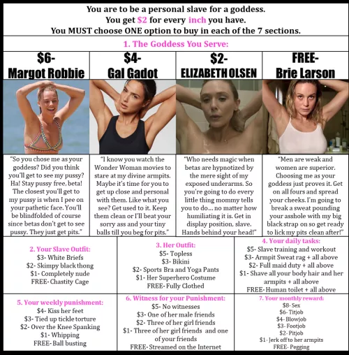 Spend Your $ for your DC/MCU Goddess! Margot Robbie, Gal Gadot, Elizabeth Olsen, Brie Larson