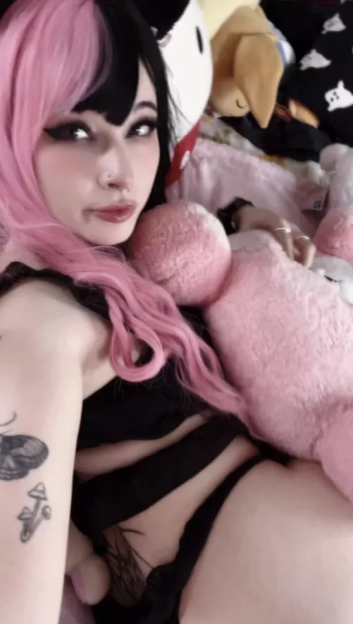 ur looking at the most obedient kitty ever