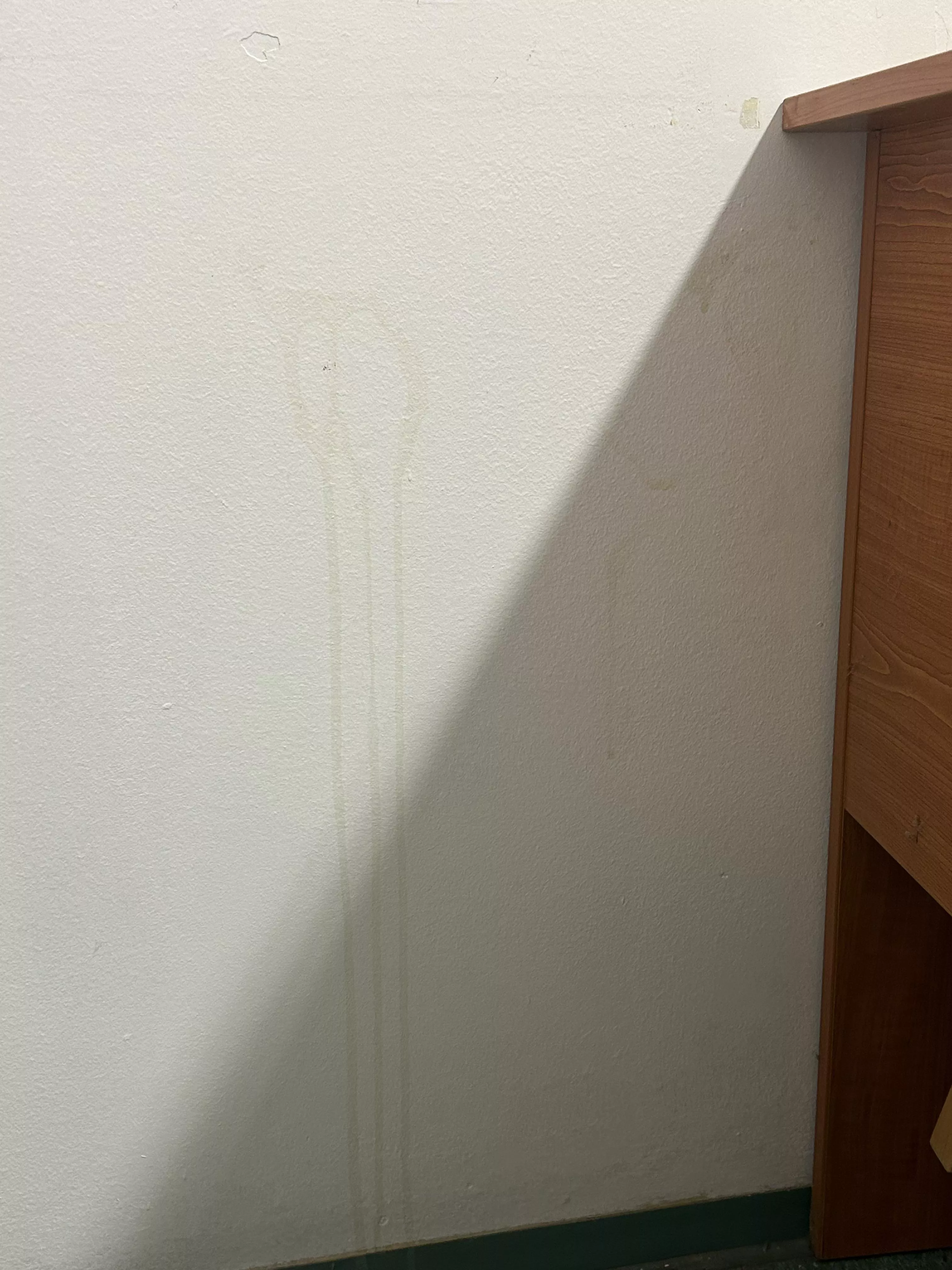 Wall I tagged last month in college library (22)