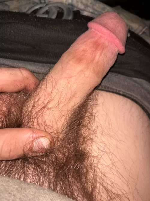 19 m looking for car head or someone to watch 