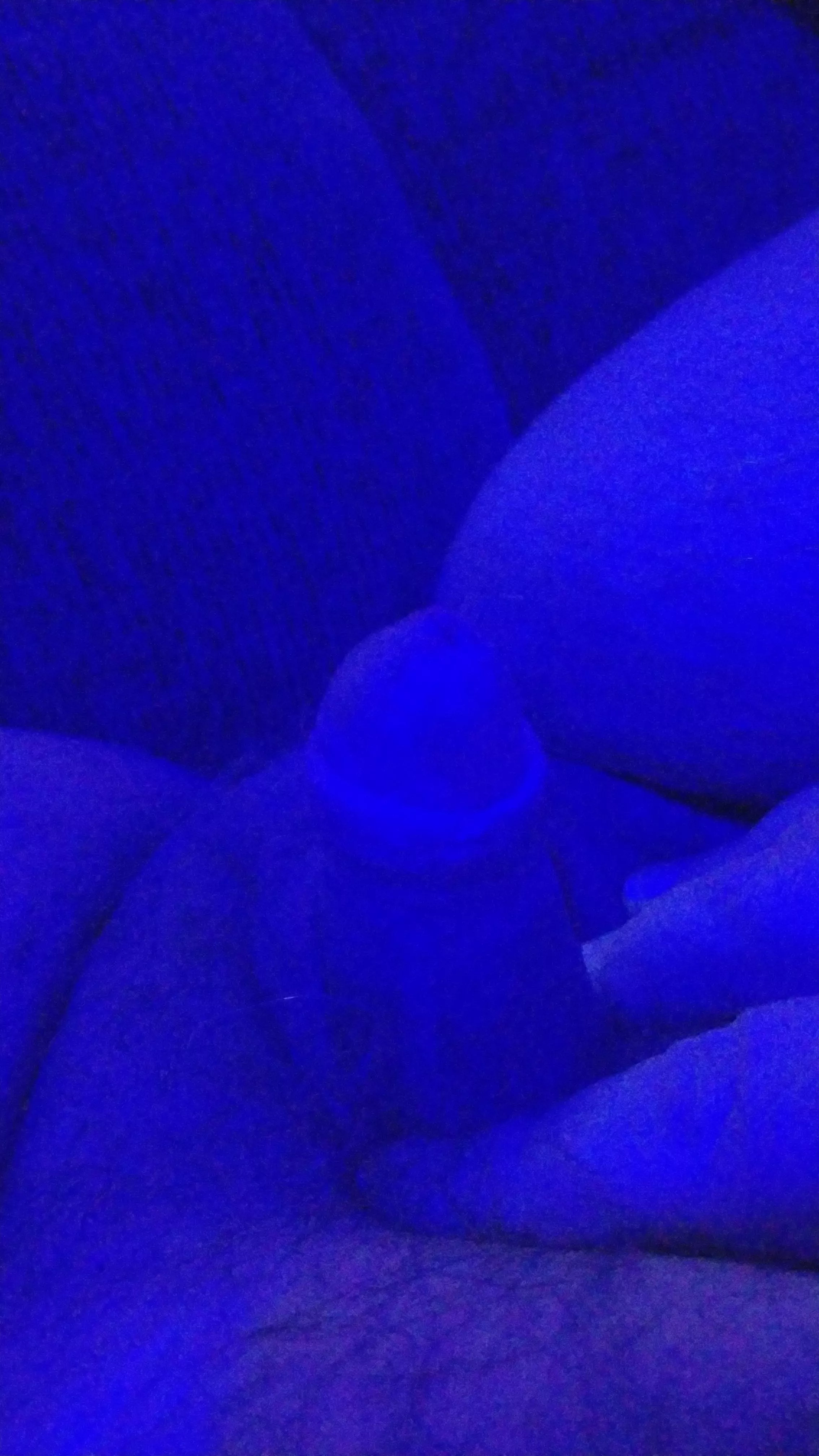 Anyone awake and want to play? 