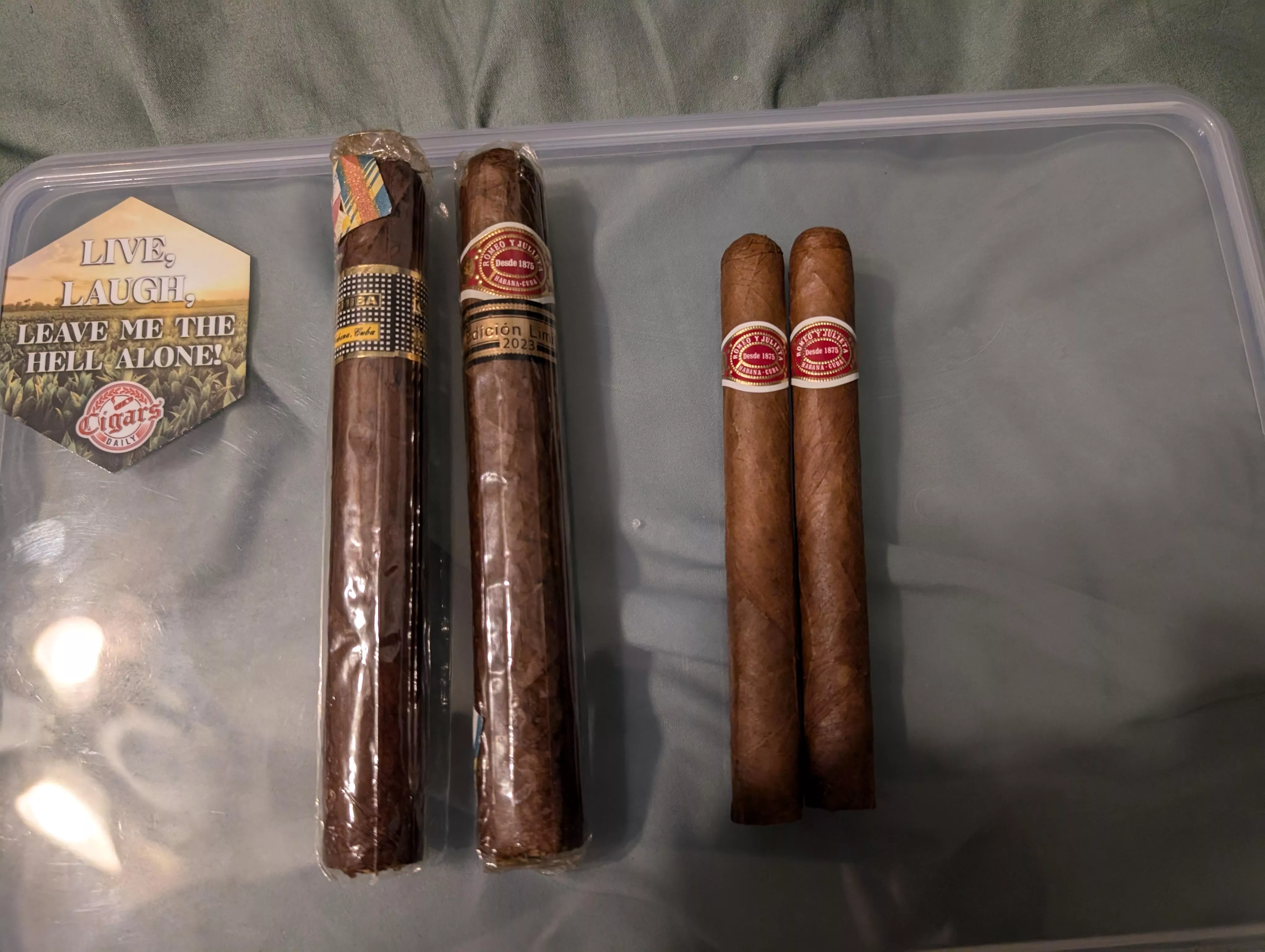 Buddy brought back some 