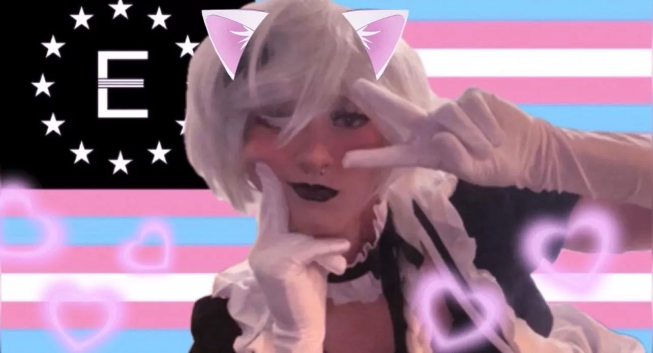 Catboy #12745 Reporting as Ordered…