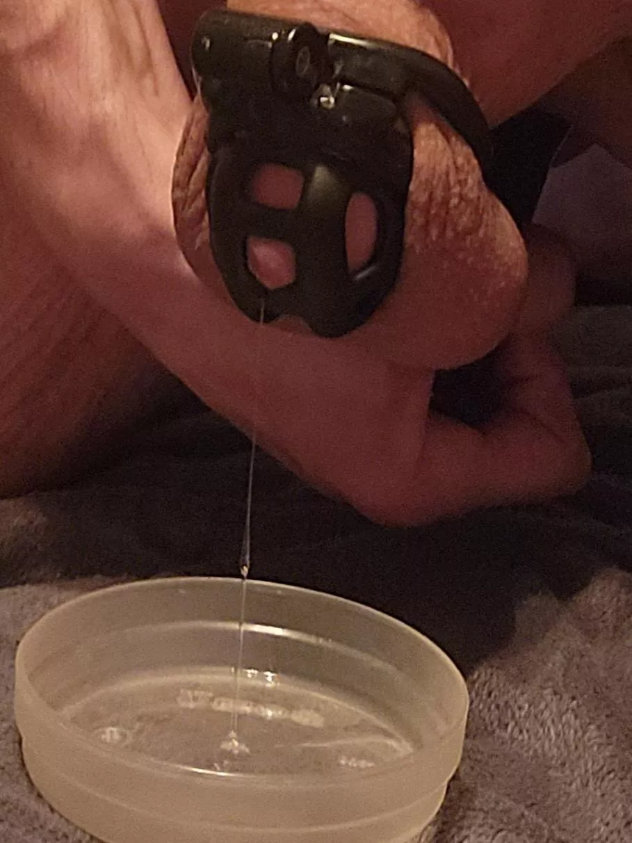 Chastity Tears from Toying my Hole ❤️