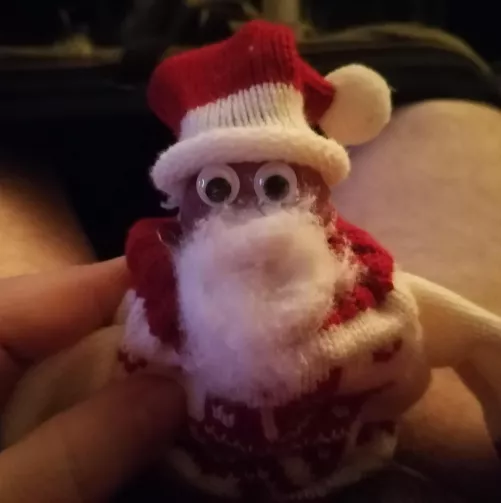 Comfortably dressed for Christmas~ x3