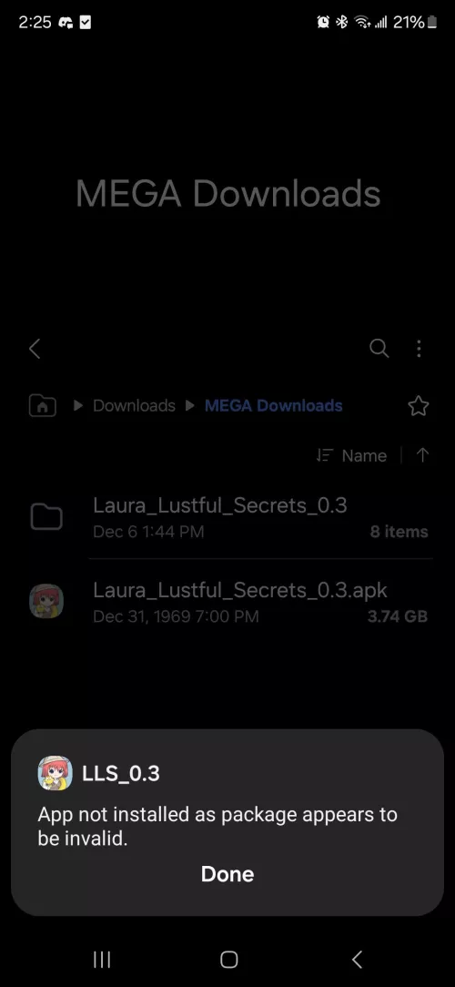 Did I download a corrupted file or am I doing something wrong?