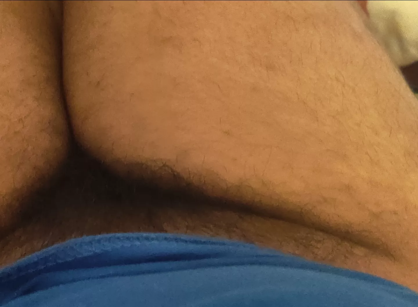 do you like my ugly bush?