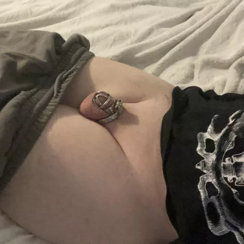 Does the cage make it look bigger?