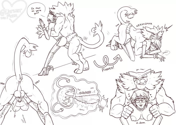 Don't make me beg (littlestfuzz) [Pokemon] [Bayonetta]