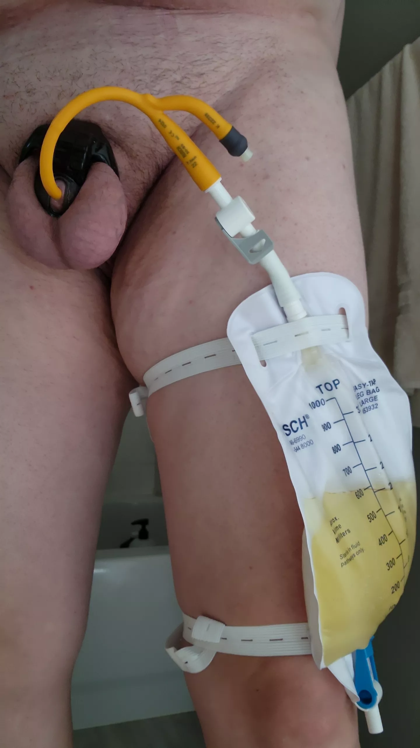 How I'm spending the day