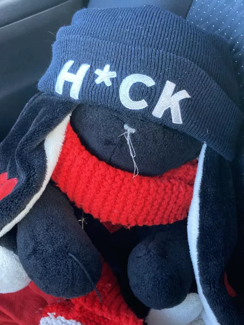 I devolped romantic or more feelings for a stuffie 