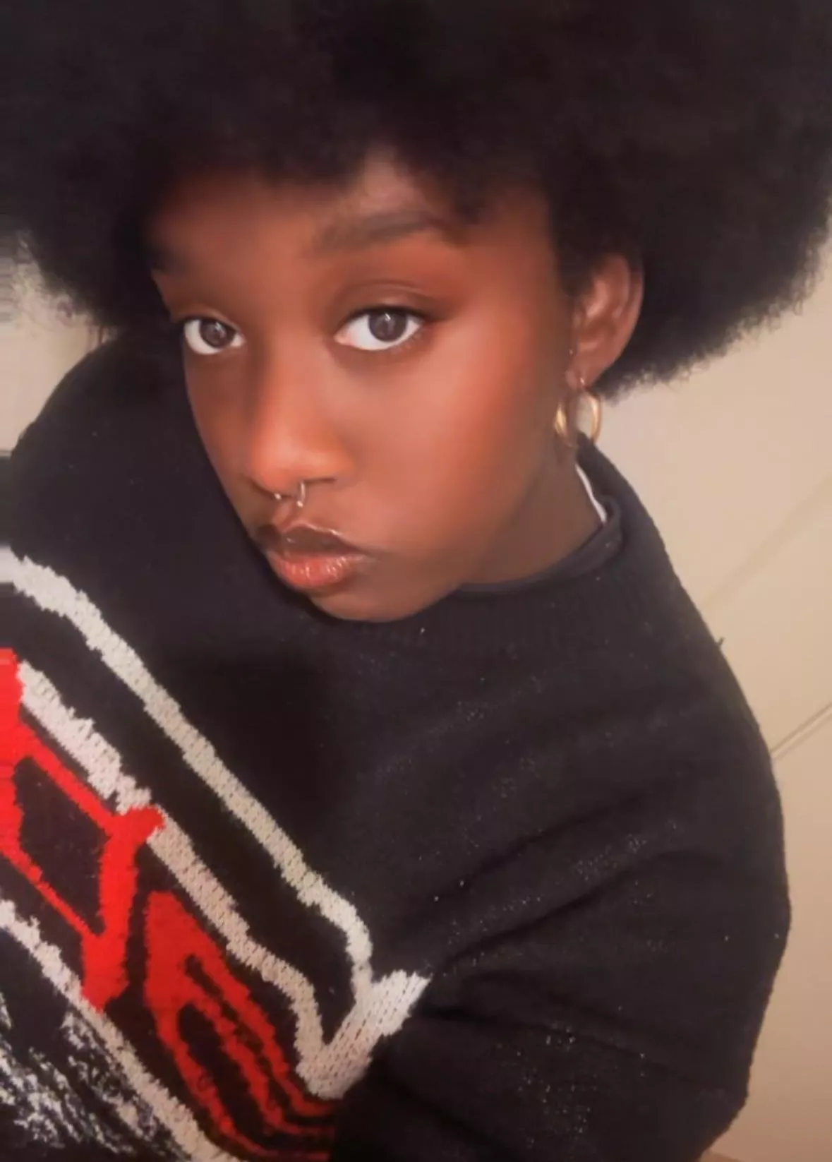 I own you losers I own you losers