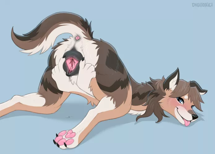 I want to feel the inside of that cookie so bad (digitoxici) 