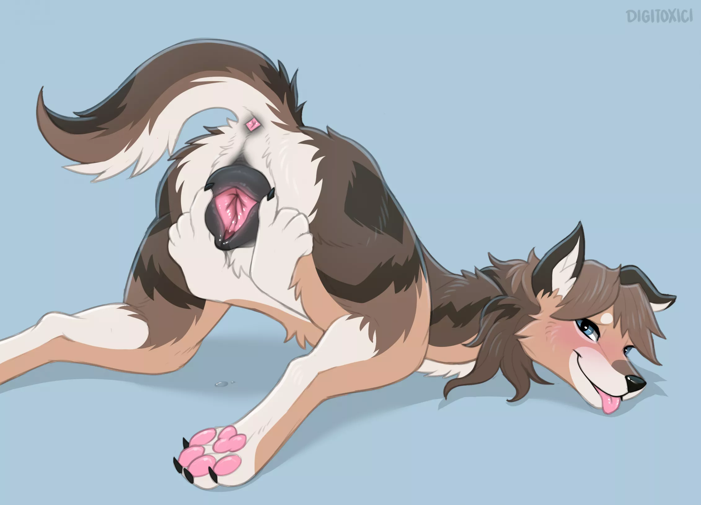 I want to feel the inside of that cookie so bad (digitoxici) 