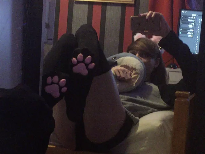 just a kitty catboy needing cuddles ~^w^~