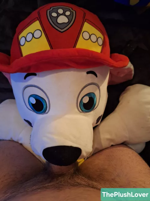 Marshall wanted a dessert 🍨