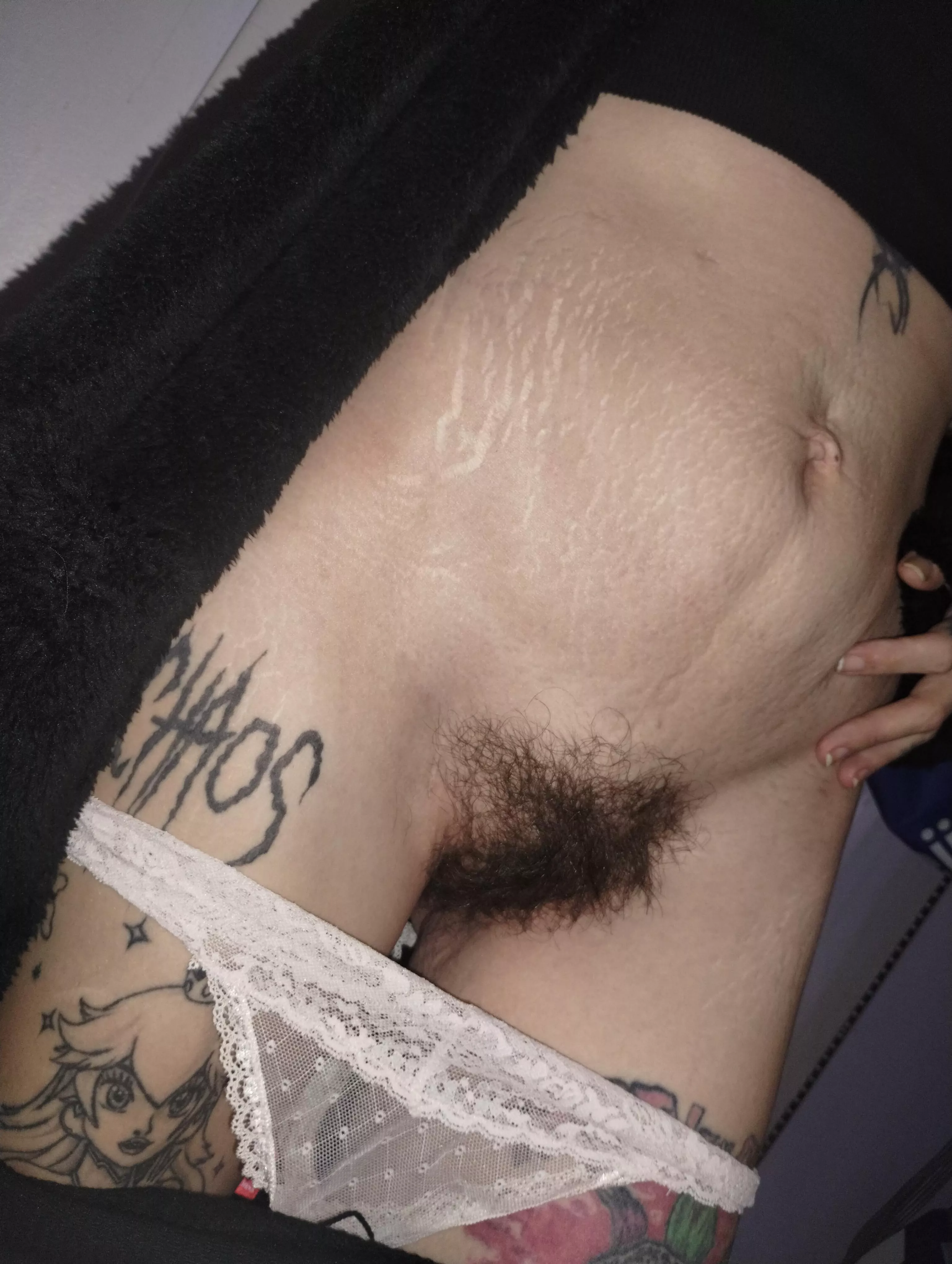 My bush is getting wilder every day