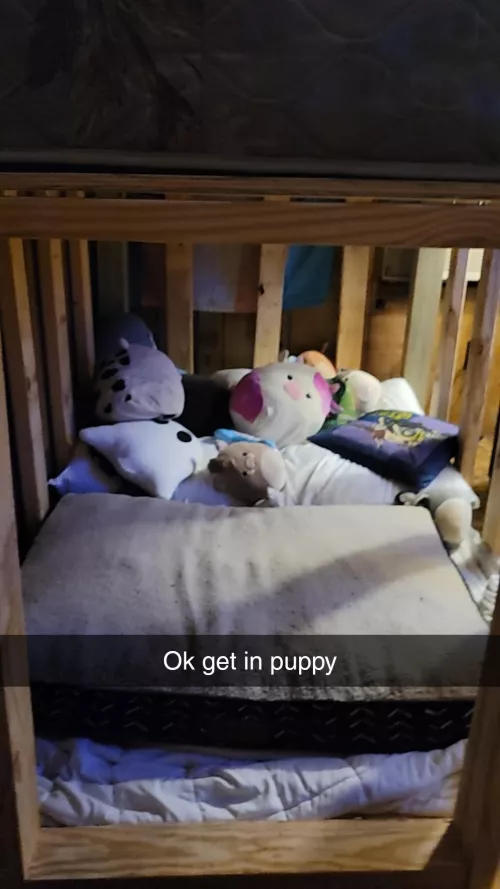 My new under bed dog cage. Give it a try puppy