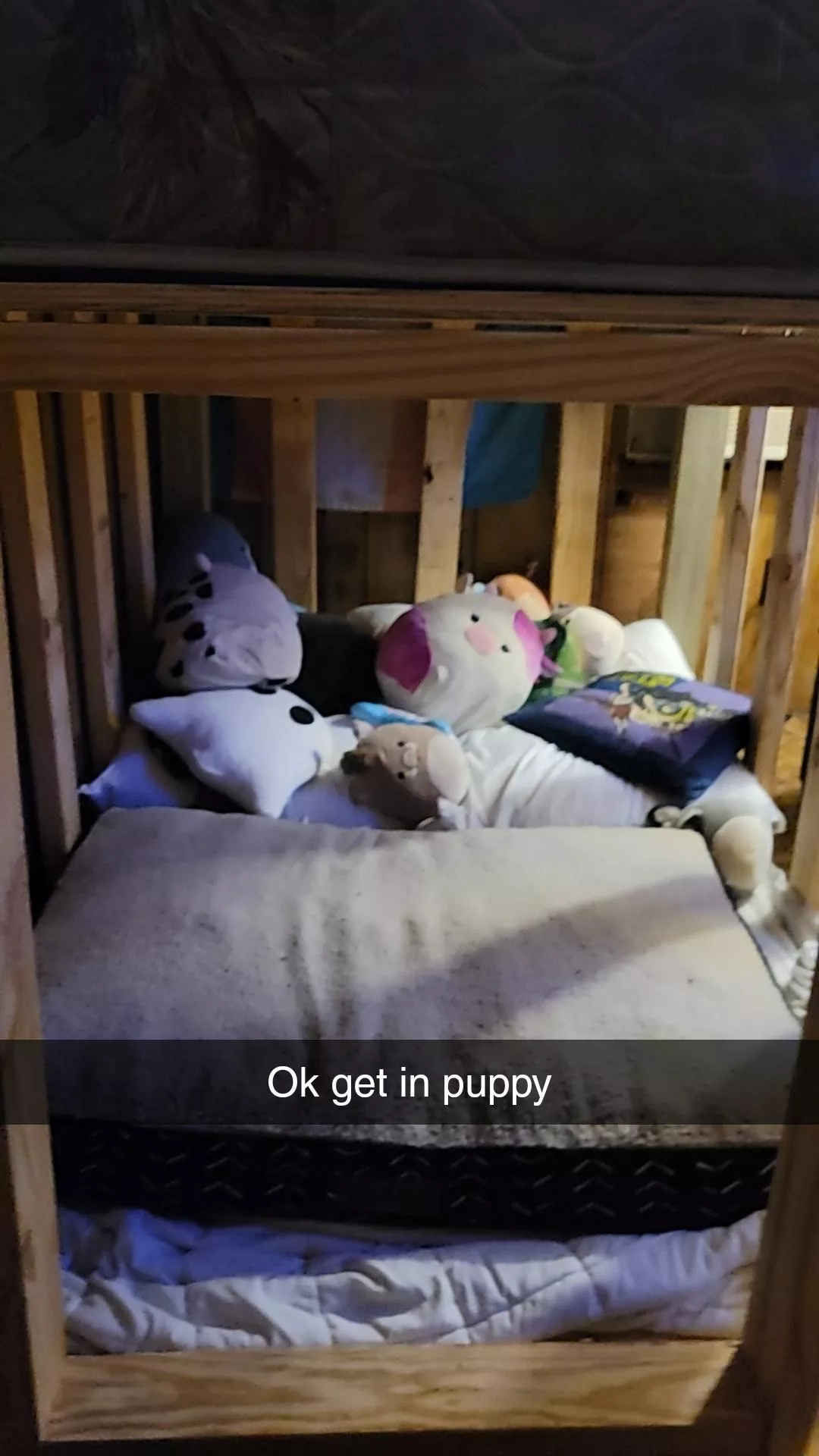 My new under bed dog cage. Give it a try puppy