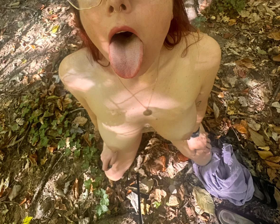 One whole year of this thing being used by strangers on the internet ☺️ 