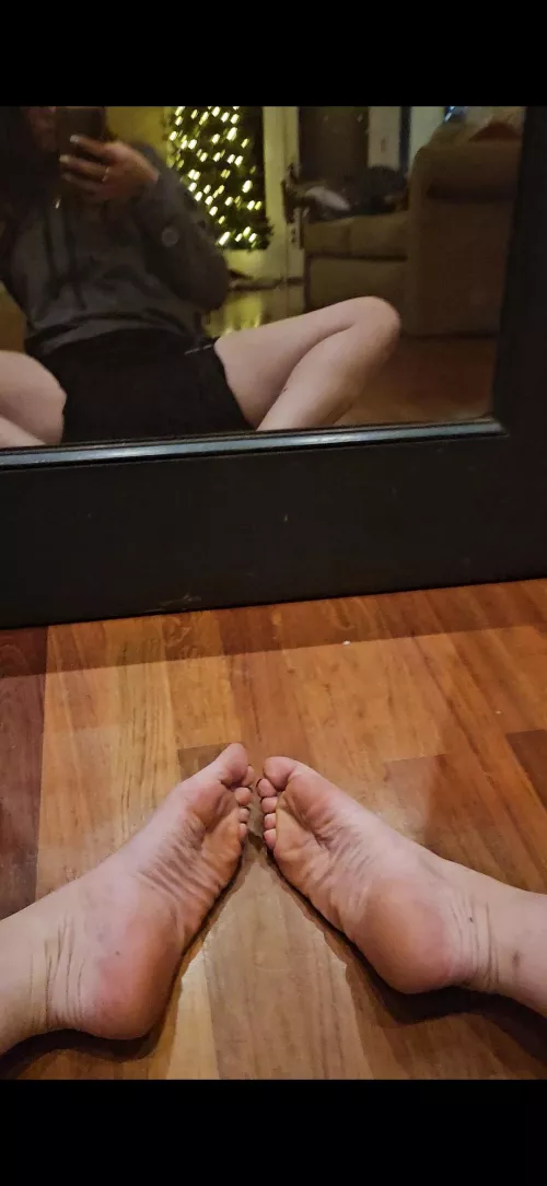 Ready to be under someone's tree