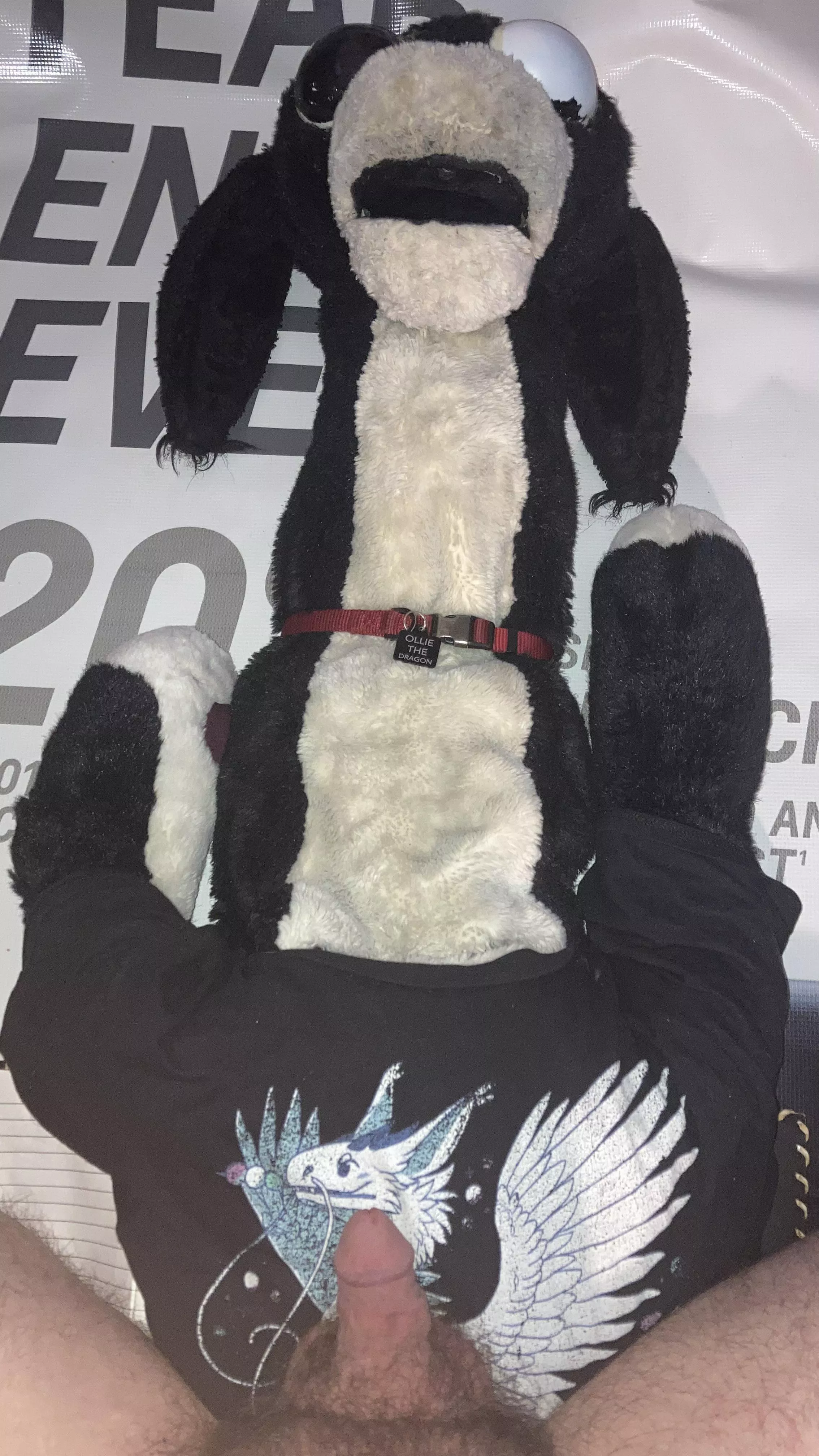 [Snuggle Saturday] FT. Ollie the Dragon