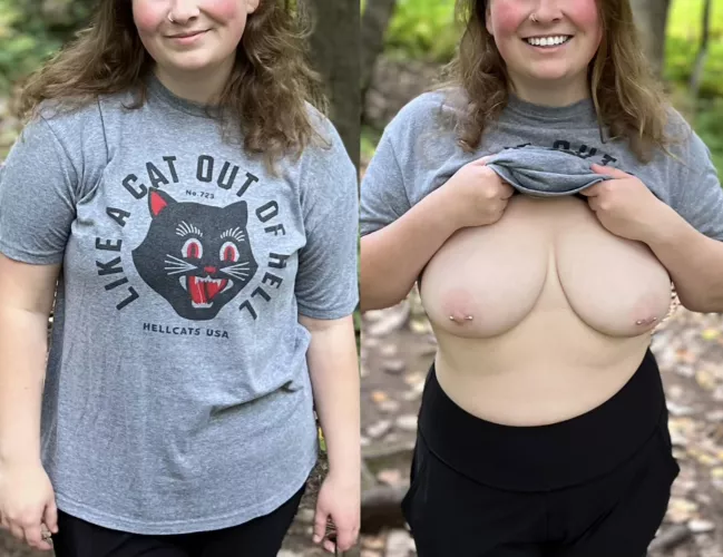 Surprised all of the hikers 