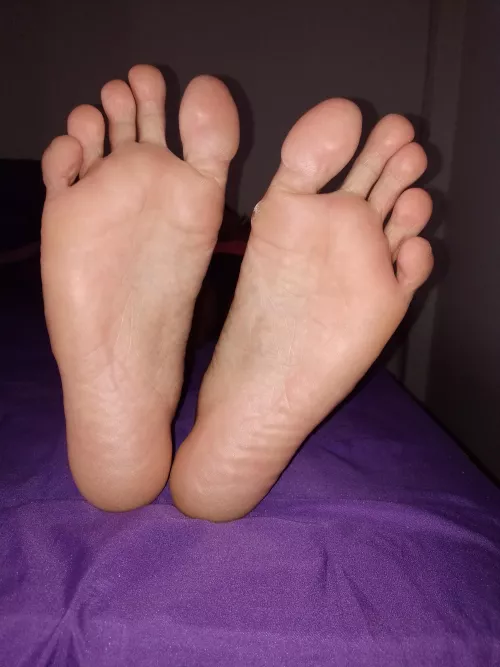 Trampled by Authority: My Feet, Your Purpose.