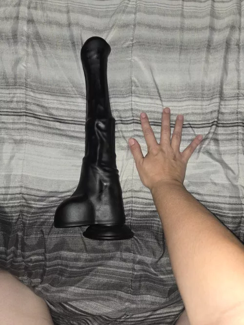 Wanna see how much my pussy can take?. 