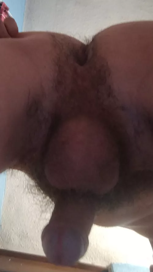 Wanna suck back or front?