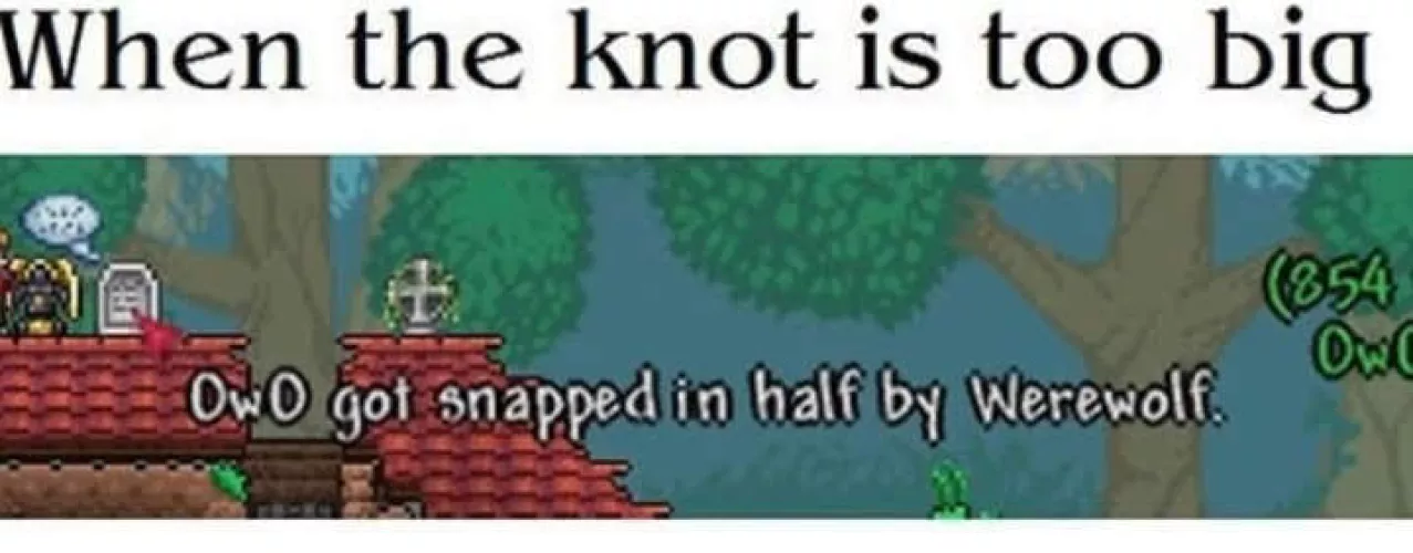 When the knot is too big :3