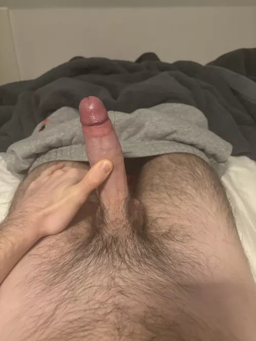 Any bears like what they see