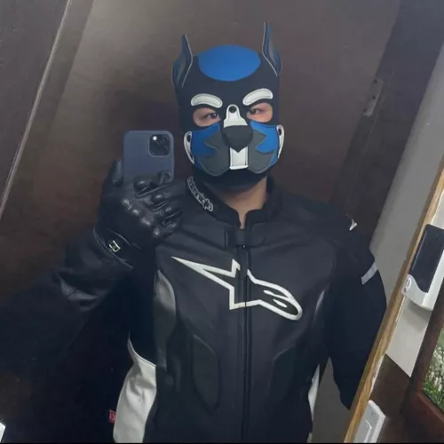 Anyone else ride bikes? 