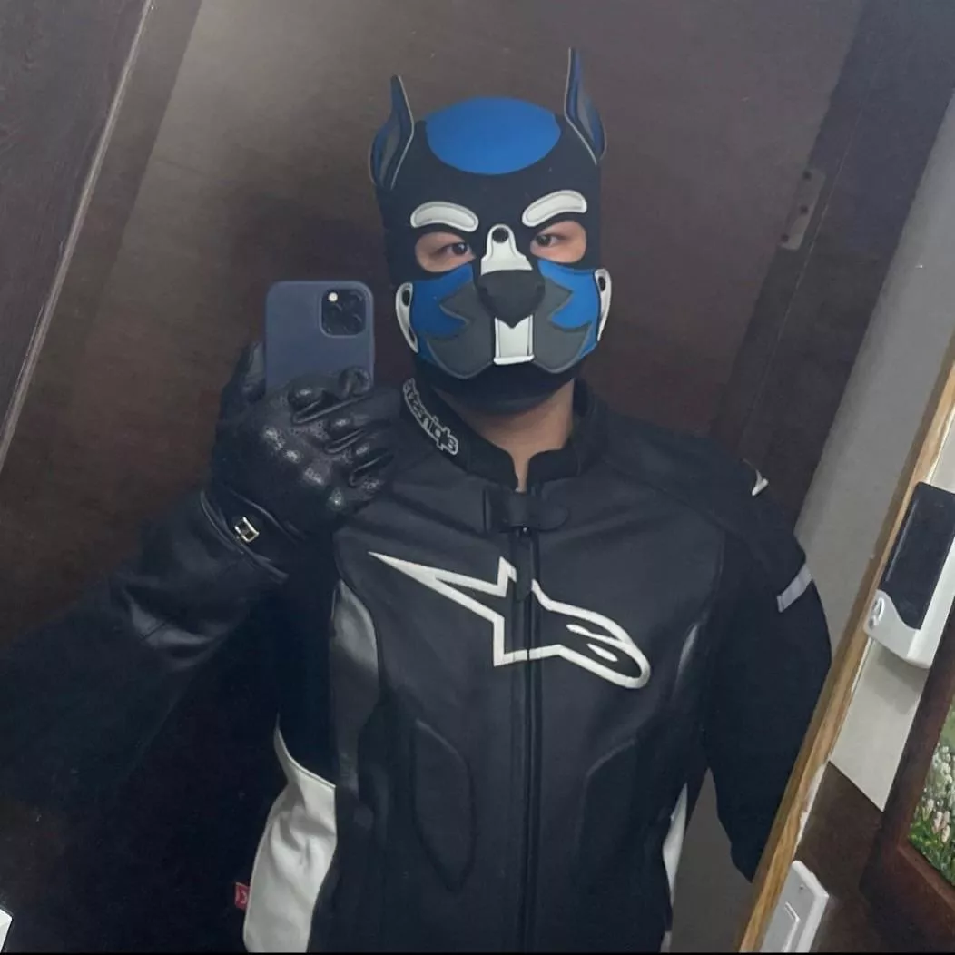 Anyone else ride bikes? 