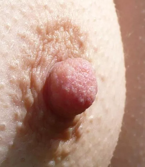 Couldn't zoom in anymore lol