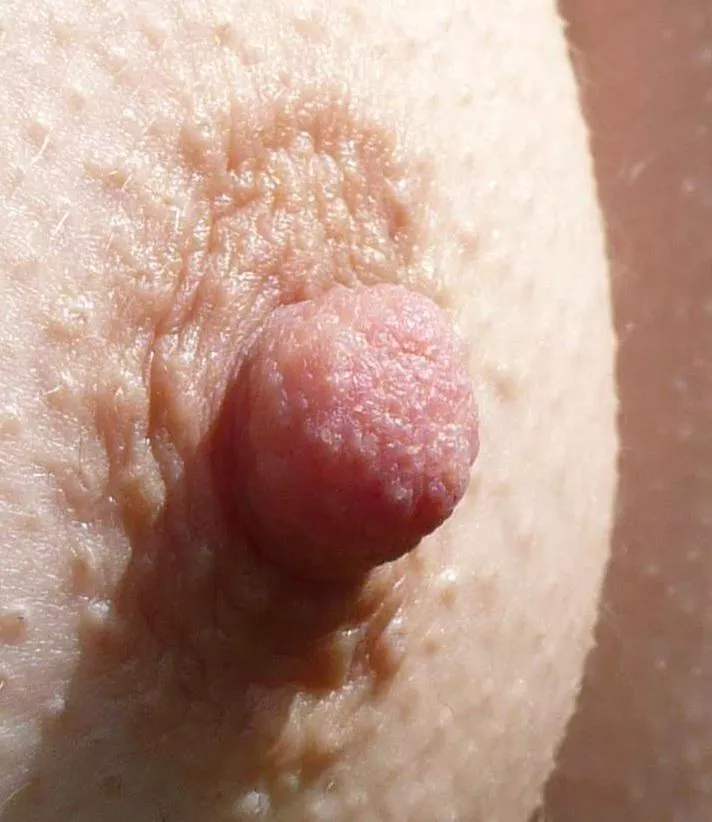 Couldn't zoom in anymore lol