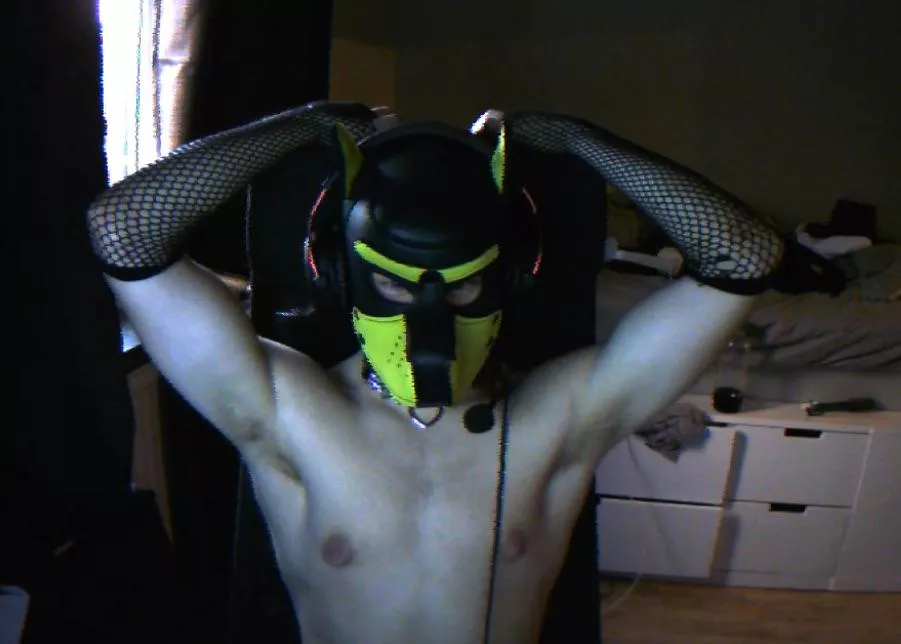 Flexing my puppy body 