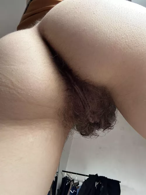 I'm gonna make your dream come true