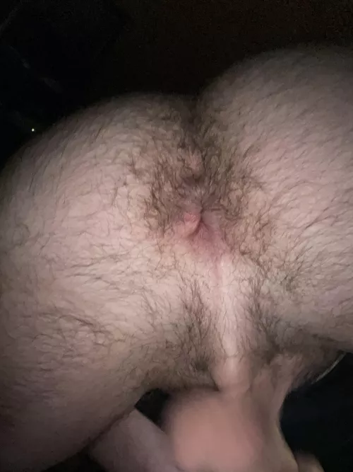 Love to wreck my ass 