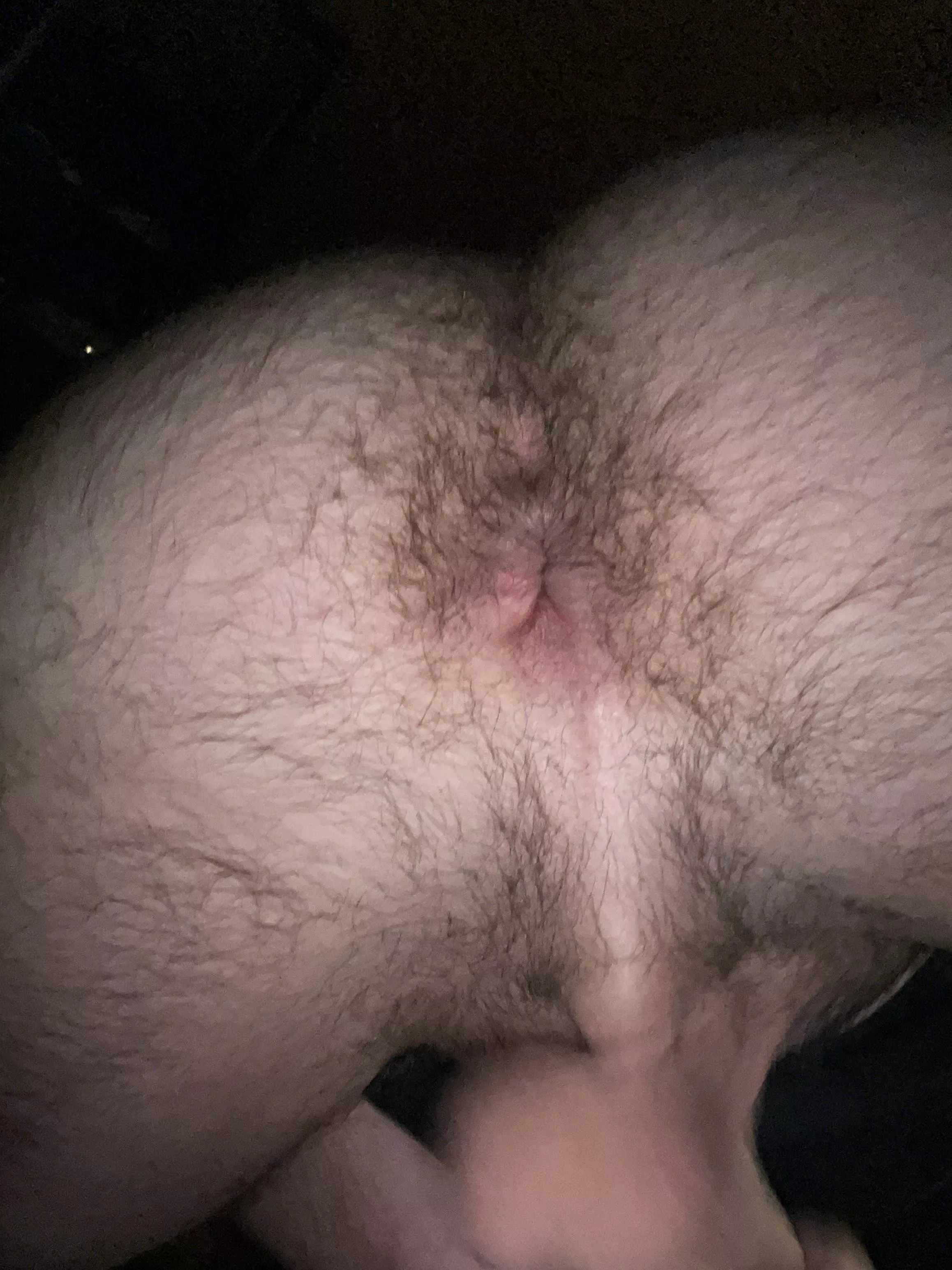 Love to wreck my ass 