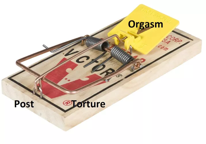 No pain, no gain I guess