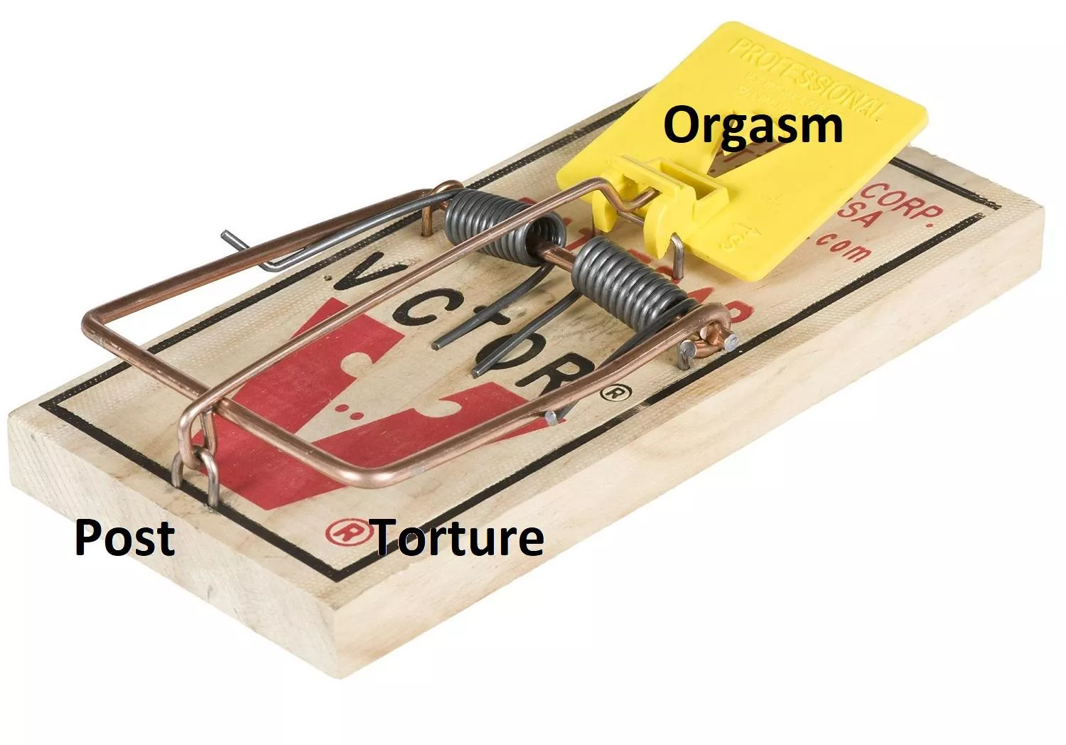 No pain, no gain I guess