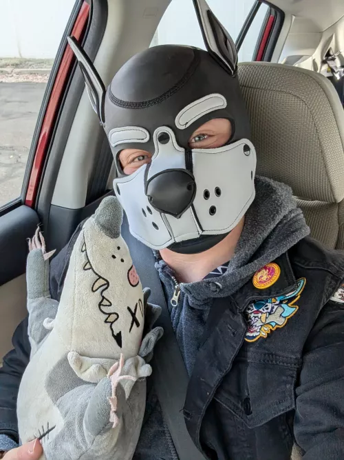 Pup goin for a car ride!!