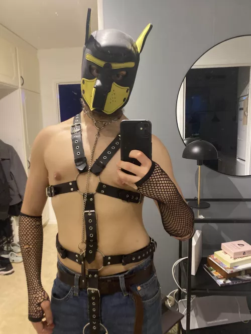 Waiting for someone to pull my leash~