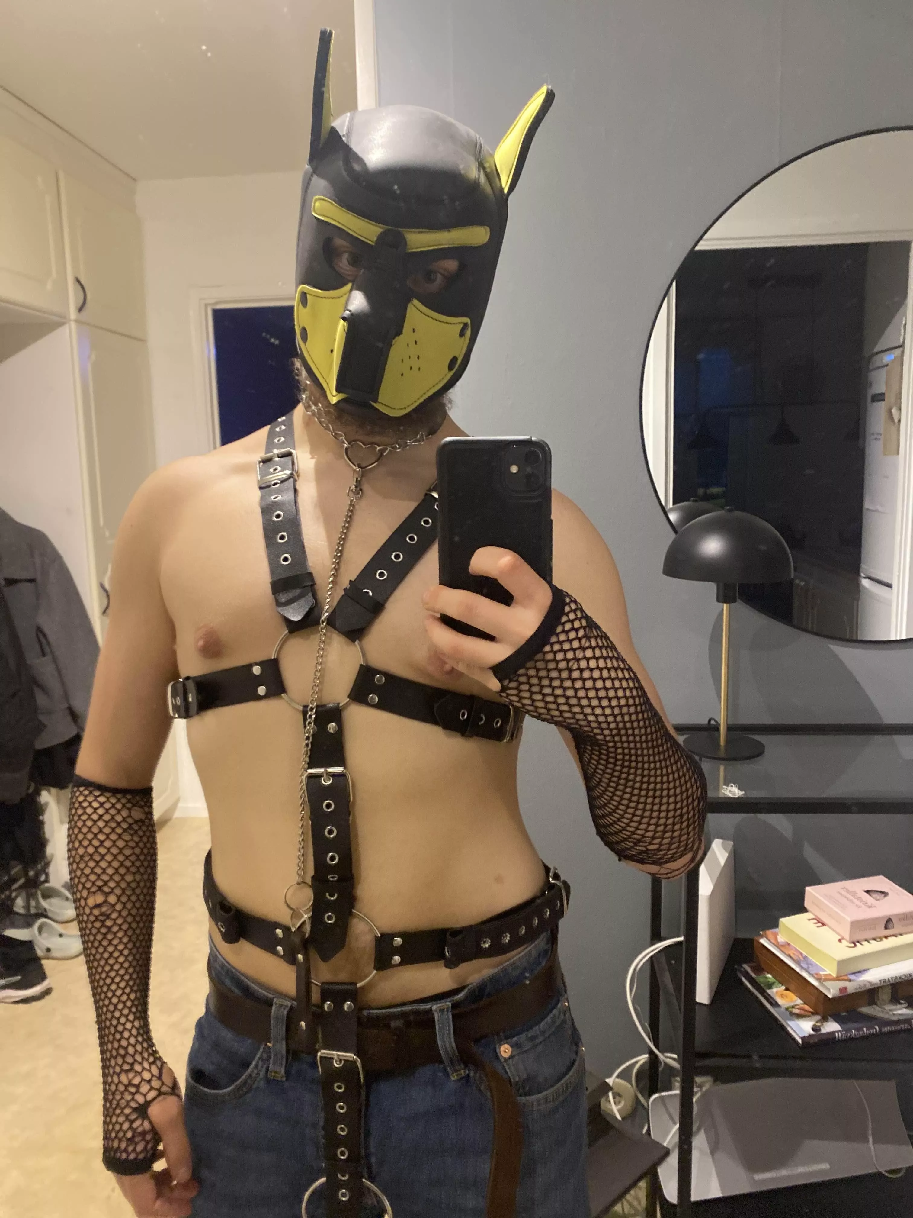 Waiting for someone to pull my leash~