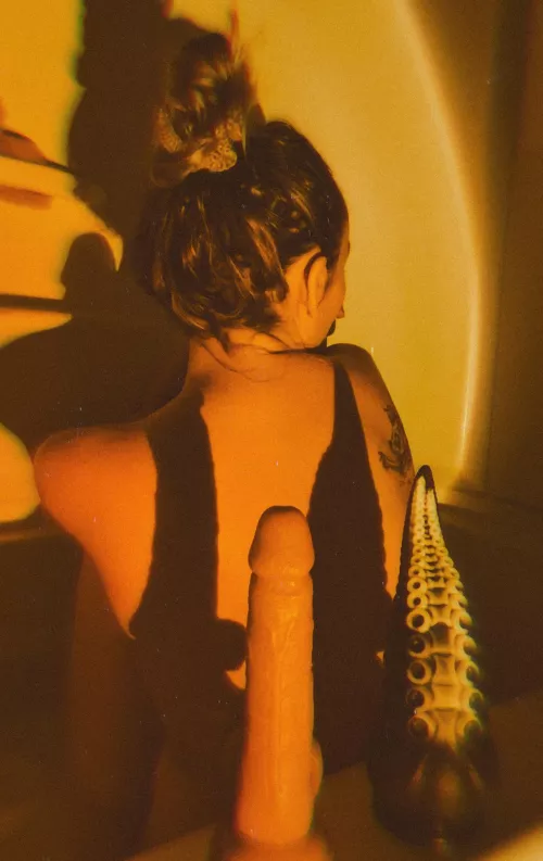 Which one would you want me to use? 😉